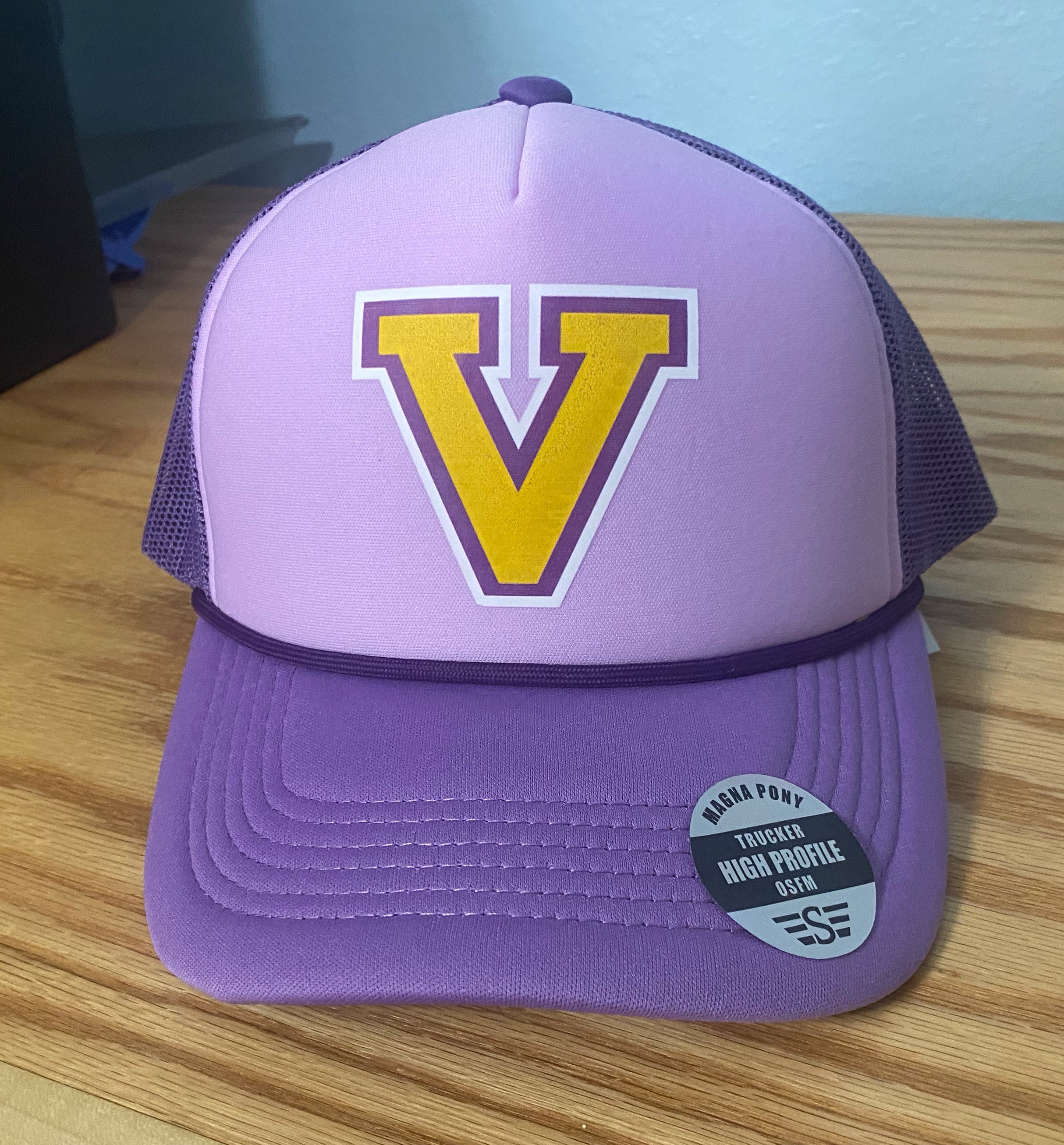 Wolverines Wild Hair Ponytail Hat