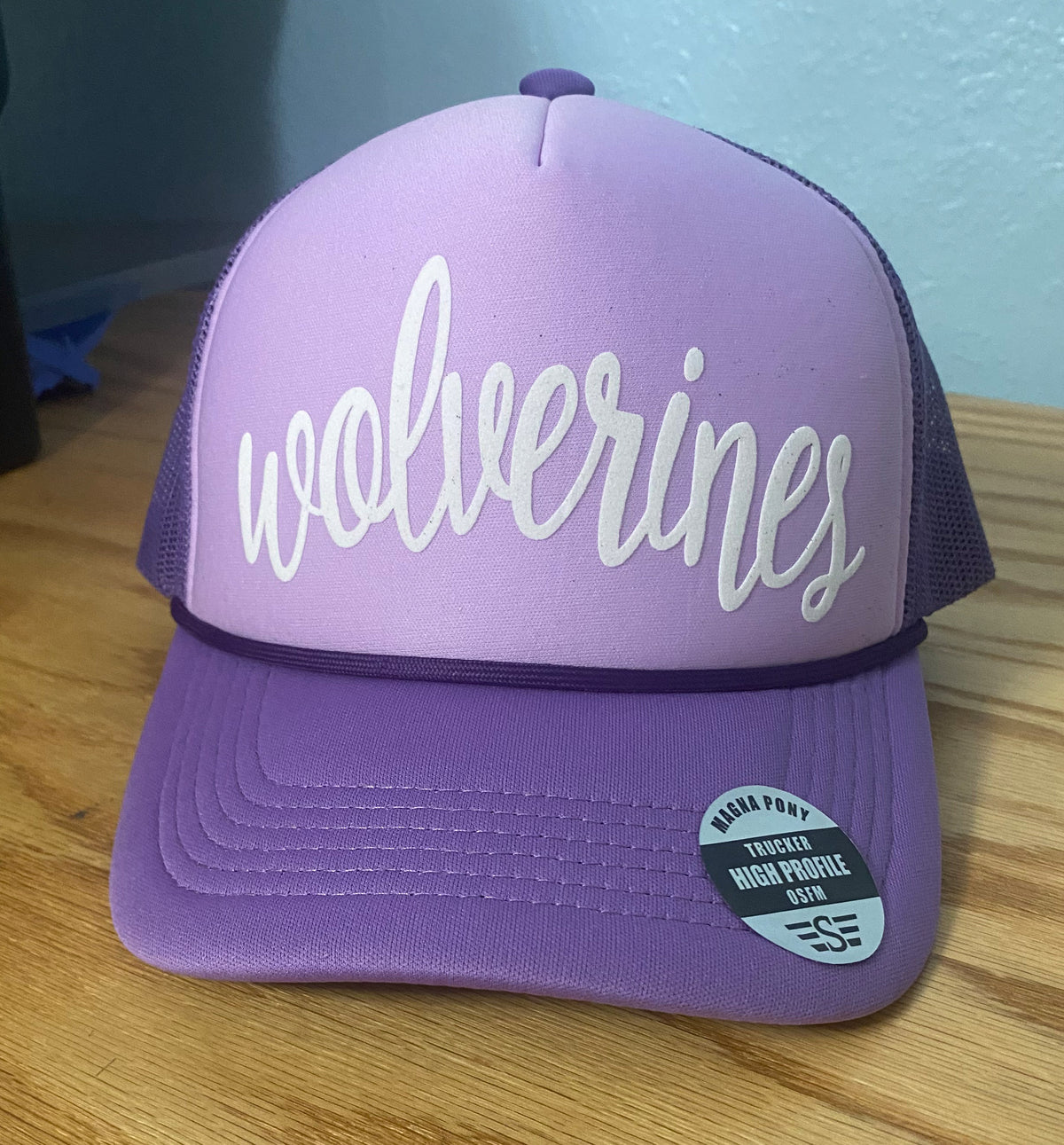 Wolverines Wild Hair Ponytail Hat