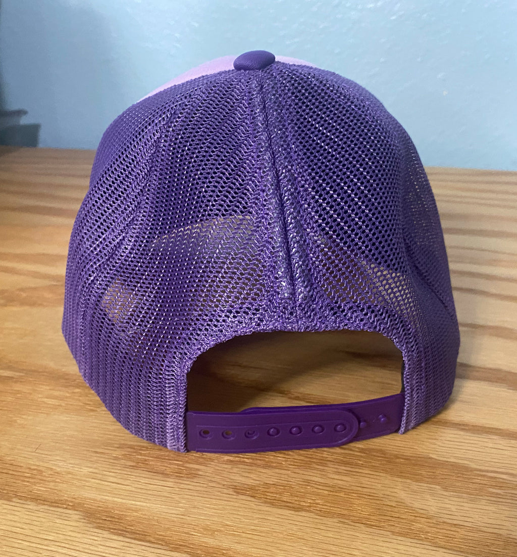 Wolverines Wild Hair Ponytail Hat