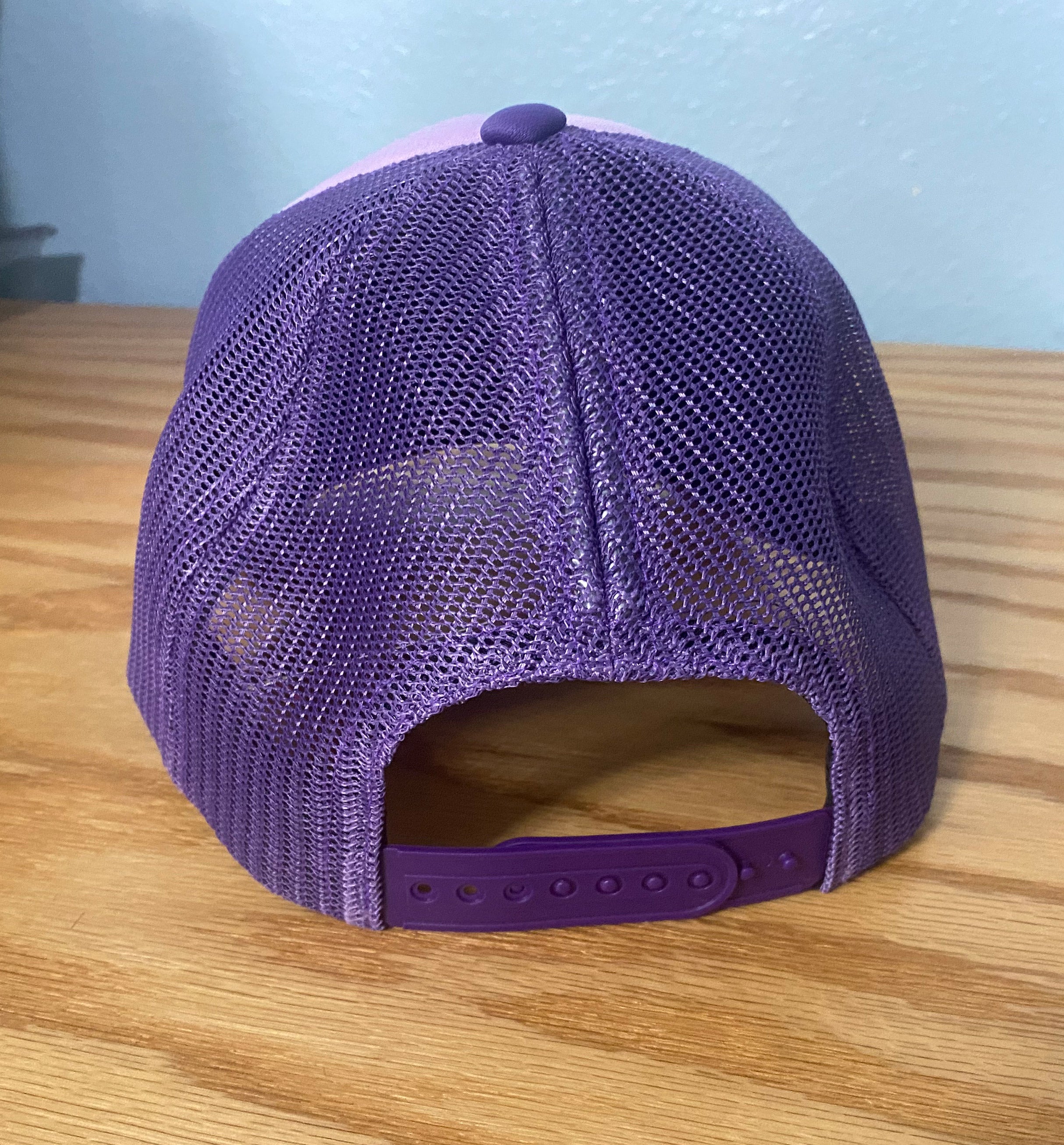 Wolverines Wild Hair Ponytail Hat